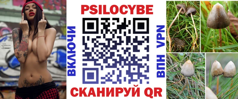 Галлюциногенные грибы GOLDEN TEACHER блэк спрут ONION Бавлы